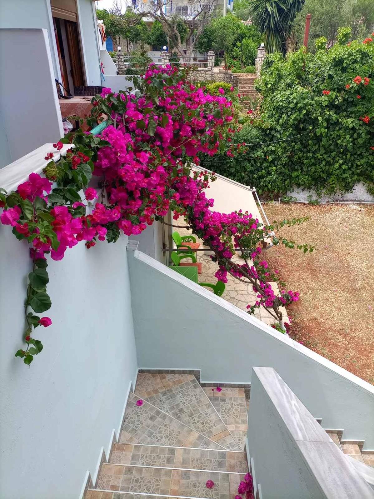 Baci Apartments Ksamil Exteriör bild